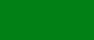 UA055 LifeColor Bright Green rlm 25 (22ml) FS 24115