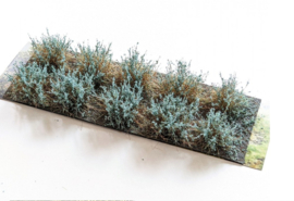 WB156868 SDJG Shrubs Juniper green - 10 pieces (20-30 mm)