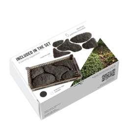RT35454 1:35 RT-Diorama Clover [Swift Vegetation]