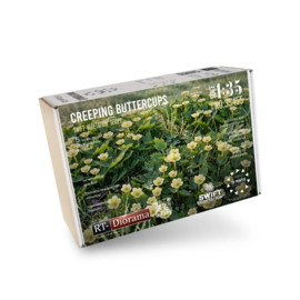RT35455 1:35 RT-Diorama Creeping Buttercup [Swift Vegetation]