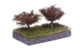 HB2316 Cherry tree 6-10 cm 2 Trees