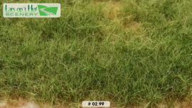 LOP0299 Marram grass/Helmgras/Strandhafer  6 - 12mm (15x21cm)