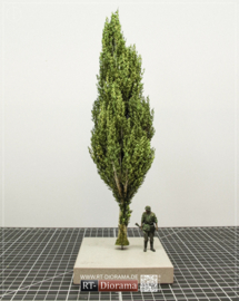 RT35330 1:35 RT-Diorama Poplar Tree No.2 [300 mm]