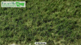 LOP0326 Grass tufts pasture summer - long