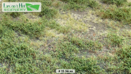 LOP1536m Forest Floor - type 3 29cm x 38cm