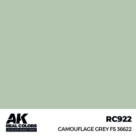 RC922 Camouflage Grey FS 36622