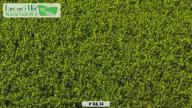 LOP0614 Weeds light green - low