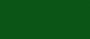 UA086 	LifeColor Interior Green (22ml) FS 14108