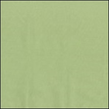Michael Miller 34 - color sample Green Tea
