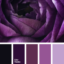 Color scheme 62