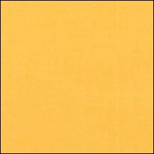 Michael Miller 186 - color sample Marigold