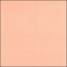 Michael Miller  110 - color sample Creamsicle