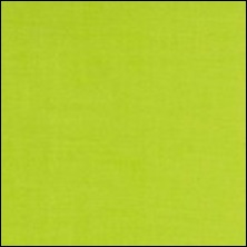 Michael Miller  108 - Farbmuster Lime