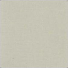 Michael Miller 170 - color sample Linen