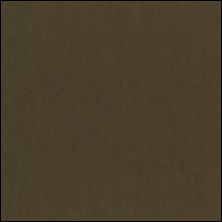 Michael Miller 3 - color sample Taupe