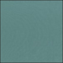 Michael Miller 49 - color sample Jade