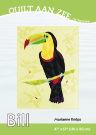 BILL the Toucan - Pattern