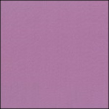 Michael Miller 74 - color sample  Mauve