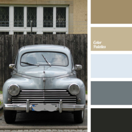 Color scheme 101