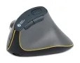 FastForward verticale muis