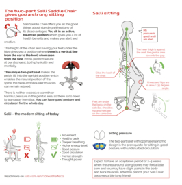 Salli Small SwingFit