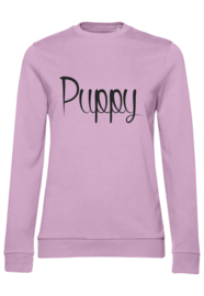 Sweater Puppy