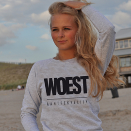 Sweater Woest aantrekkelijk