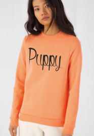 Sweater Puppy