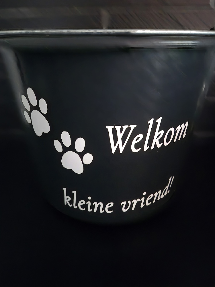 welkom kleine vriend