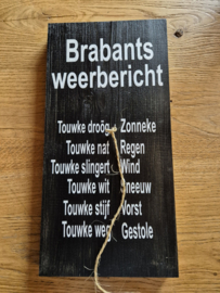 Steigerhout Brabantsweerbericht  20x40