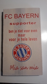 Steigerhout voetbalclub