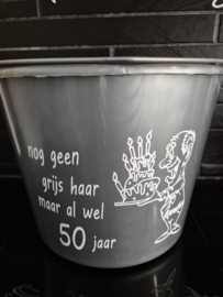 emmer nog geen grijs haar man grijs