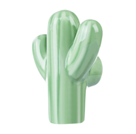 Cactus knop