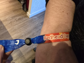 Festival bracelet (donation + wristband)