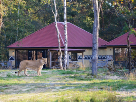 Accommodation: Beekse Bergen Safari Resort & Holiday Park