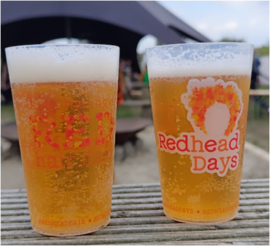 Festival cup