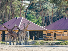 Accommodation: Beekse Bergen Safari Resort & Holiday Park