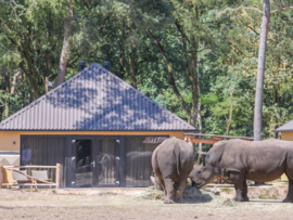 Accommodation: Beekse Bergen Safari Resort & Holiday Park