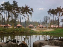 Accommodation: Beekse Bergen Safari Resort & Holiday Park