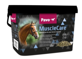 Pavo Muscle Care