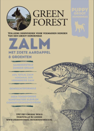 Green Forest puppy large - Zalm met Zoete Aardappel en Groenten