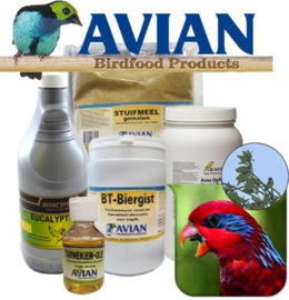 Avian Lori Nectar