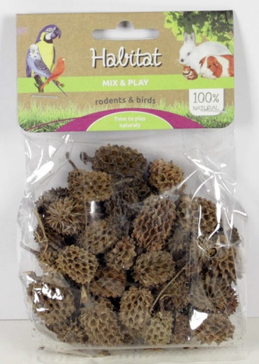 Mix & Play Australian Pine cones