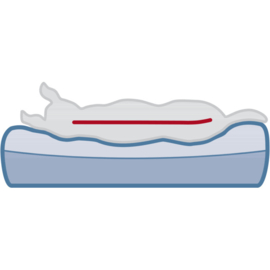 Vitaal Matras Bendson