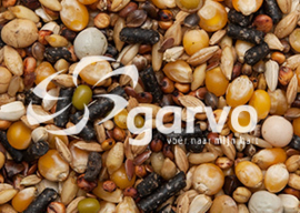 Garvo Solution 4 kg