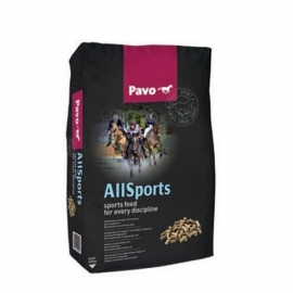 Pavo AllSports