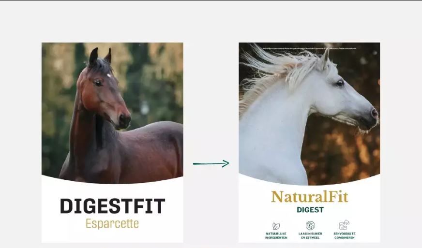 Metazoa NaturalFit Digest (DigestFit Esparcette)