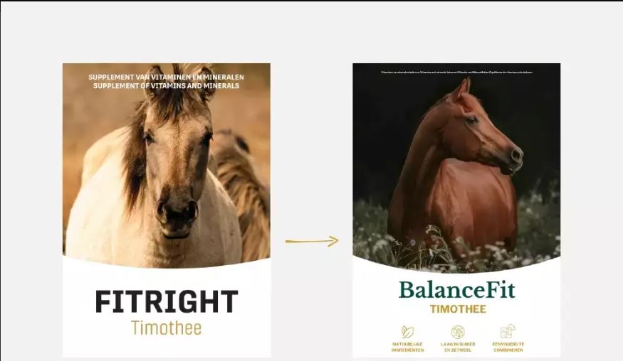 Metazoa BalanceFit timothee (FitRight timothee)