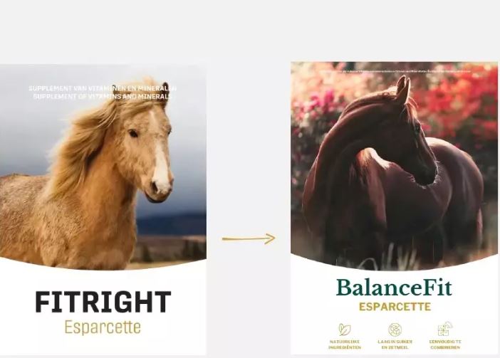 Metazoa BalanceFit esparcette (FitRight esparcette)