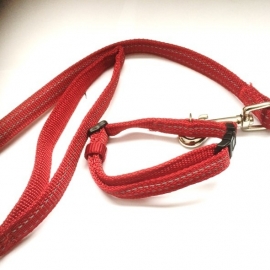 NYC setje hondenriem met halsband 'Reflect' rood